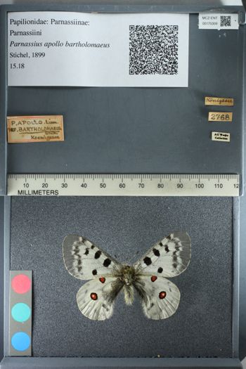 Media type: image;   Entomology 175309